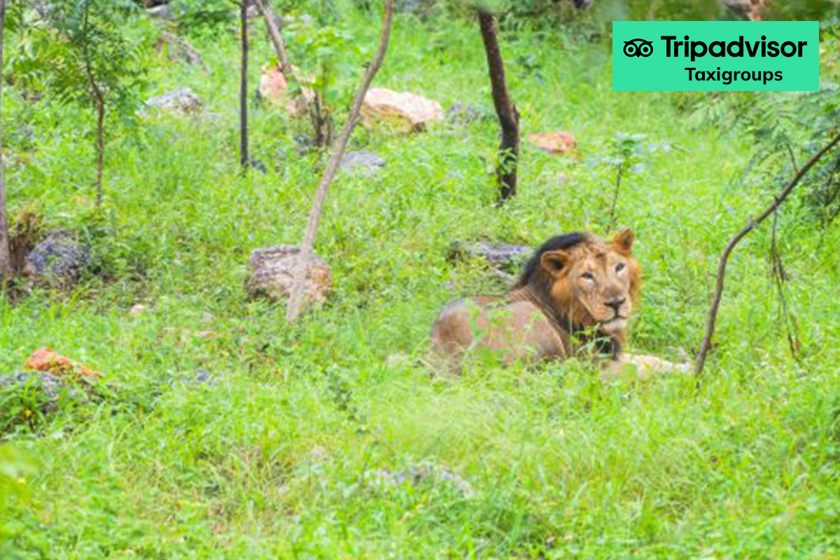 Sajjangarh Biological Park | Udaipur Taxi | Udaipur